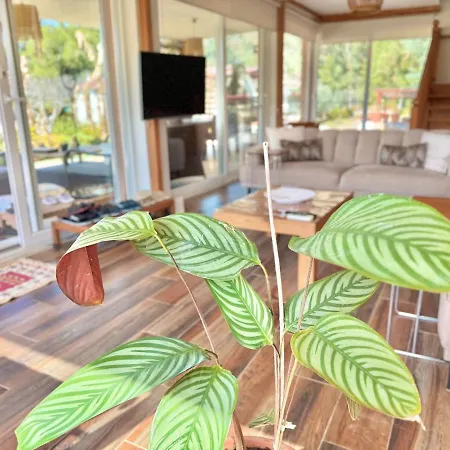 Villa Big With Pool In *