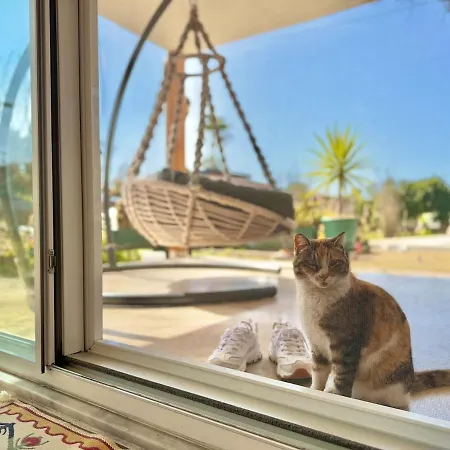 Big With Pool In * Marmaris