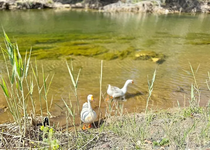 Βίλα Lueks Villa Kaktues Oezel Havuz, Sauna & Jakuzi & Kano *