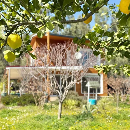 Big With Pool In Villa Marmaris