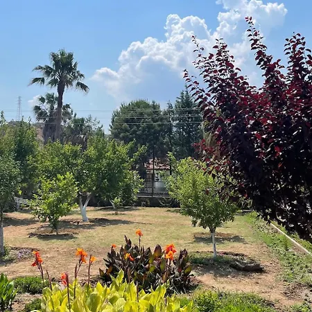 Big With Pool In * מרמריס