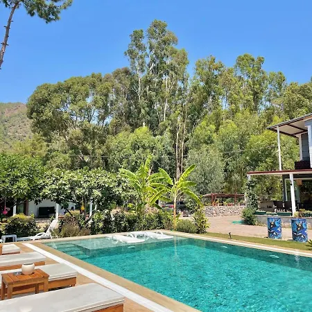 וילה Big With Pool In *