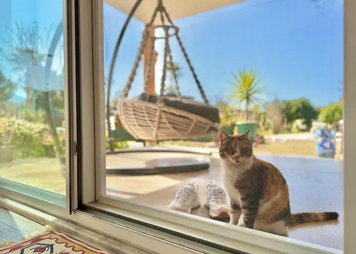 Lueks Villa Kaktues Oezel Havuz, Sauna & Jakuzi & Kano * مرمريس